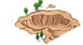 Map Sample Clay.png